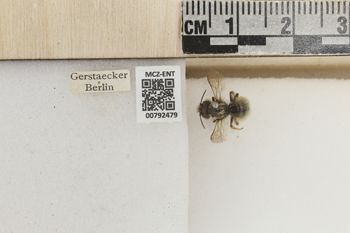 Media type: image;   Entomology 792479 Aspect: Labels